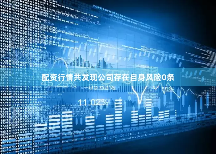 配资行情共发现公司存在自身风险0条