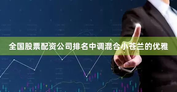 全国股票配资公司排名中调混合小苍兰的优雅